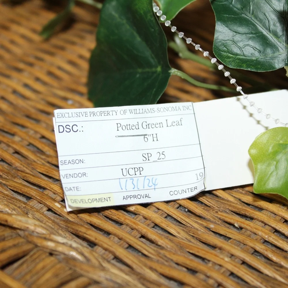 Williams Sonoma Artificial Potted Green Leaf.
